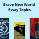 Brave New World Essay Topics